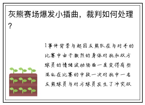 灰熊赛场爆发小插曲，裁判如何处理？